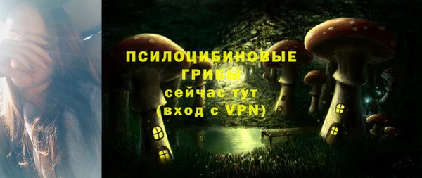 стафф Абаза
