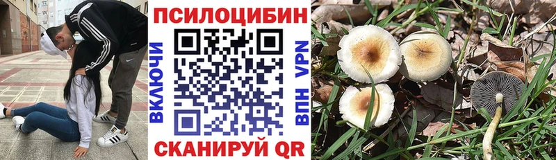 МЕГА онион  Домодедово  Галлюциногенные грибы ЛСД 
